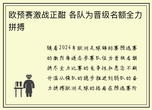 欧预赛激战正酣 各队为晋级名额全力拼搏